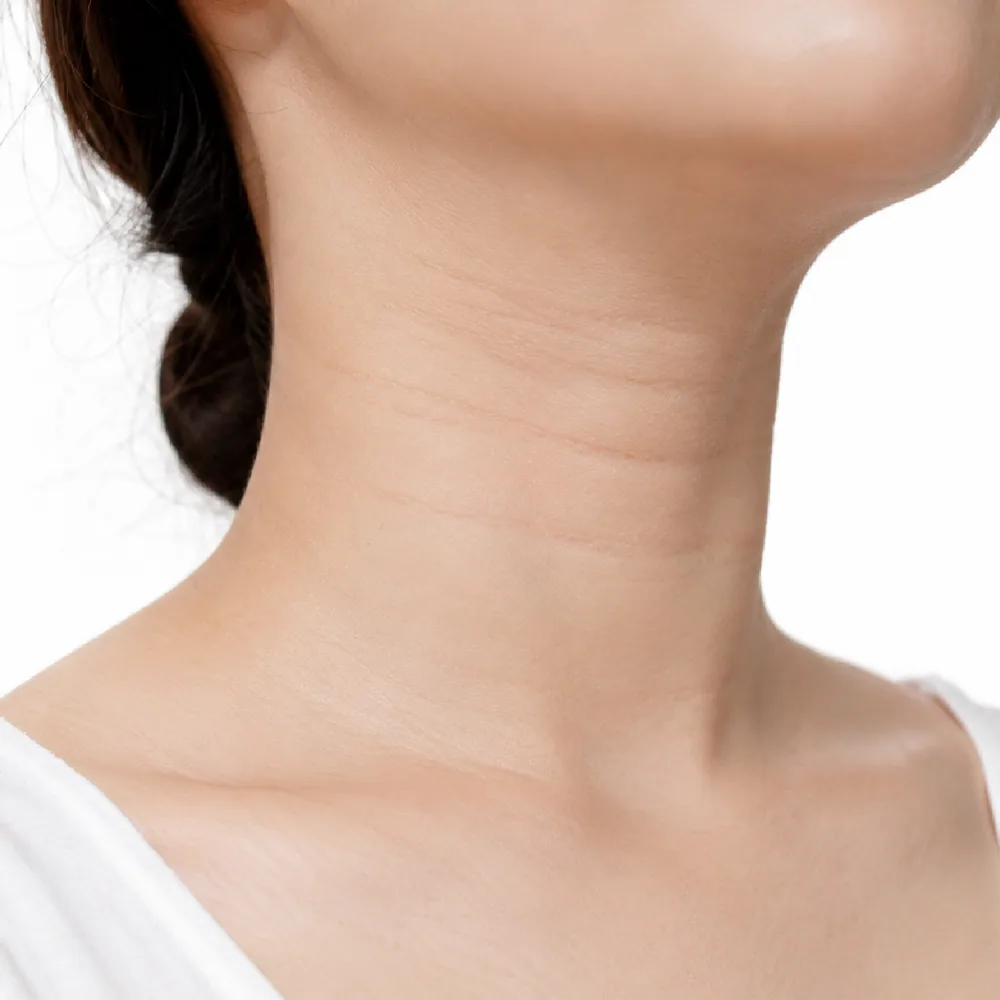 Neck Lines — Horizontal Neck Lines
